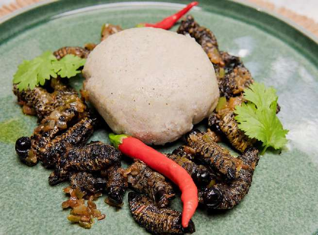 Dish 3